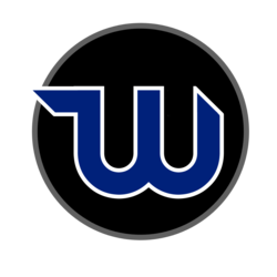 WizTech Pro logo