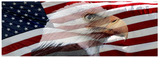 PatriotUSA Computer Services logo