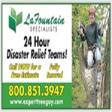 Logo for Lafountain Tree Specialists
