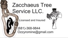Avatar for Zacchaeus tree service LLC.