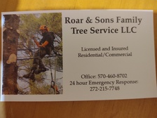 Avatar for Roar & Sons Family Tree Service, LLC