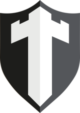 Torre Fuerte Plastering INC logo