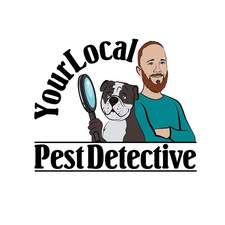 Your Local Pest Detective Inc. logo