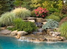 Avatar for Grasso Landscaping & Snowplowing