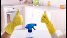 Logo for Pristine Cleaning Enterprises