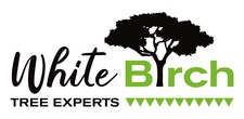 Avatar for White Birch Tree Experts, LLC