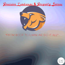 Avatar for Precision Landscape and Property Services