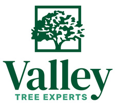 Avatar for Valley Tree Experts