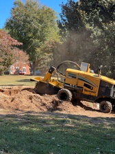 Logo for BigT Stump Grinding