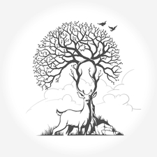 Sawyer Tree Service, LLC logo