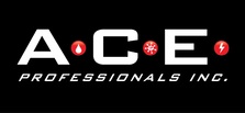 A.C.E. Professionals, Inc. logo