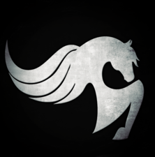 Pegasus Moving & Cleaning, LLC logo