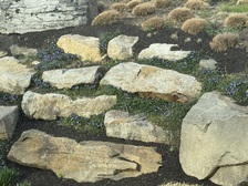 Avatar for Red Cedar Landscapes, Inc.