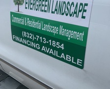 Avatar for Evergreen landscape