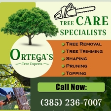 Logo for Ortega Tree Experts