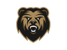 Big Bear Concrete, LLC logo