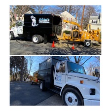 Adrian's Tree Service and Landscaping logo