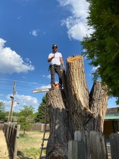 Avatar for Joshua Trees