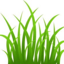 Green Lifescapes, LLC logo