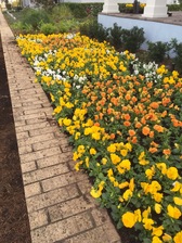 Avatar for Little Rock Home & Garden
