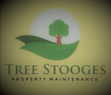 Avatar for Tree Stooges Property Maintenance