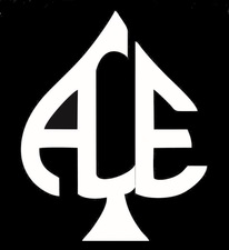 Avatar for ACE Contracting Group LLC