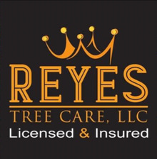 Avatar for Reyes Tree Care LLC