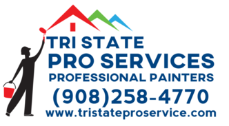 TRI STATE PRO SERVICES logo