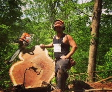 Avatar for Stanley Logging And Tree Services LLC
