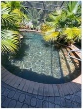 Avatar for Just Pools of Brevard