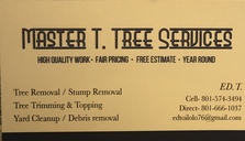 Avatar for Master T Tree Service