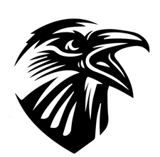 Ravenwood Remodeling logo