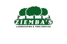 Avatar for Ziemba's Landscaping & Tree Service
