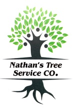 Nathan's Tree Service logo