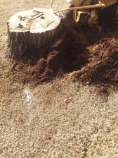 Avatar for Willie's Stump Grinding