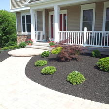 Transitional Landscape with black mulch flower bed