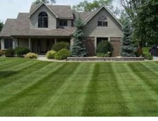 Logo for JDS Lawn & Tree