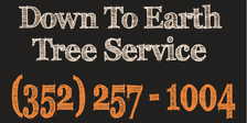 Logo for Down to Earth Tree Service, LLC