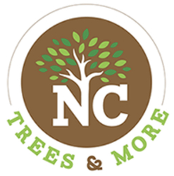 Trees&More, LLC logo