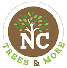 Avatar for Trees&More, LLC