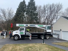 Avatar for GN Brothers Tree Service, Inc