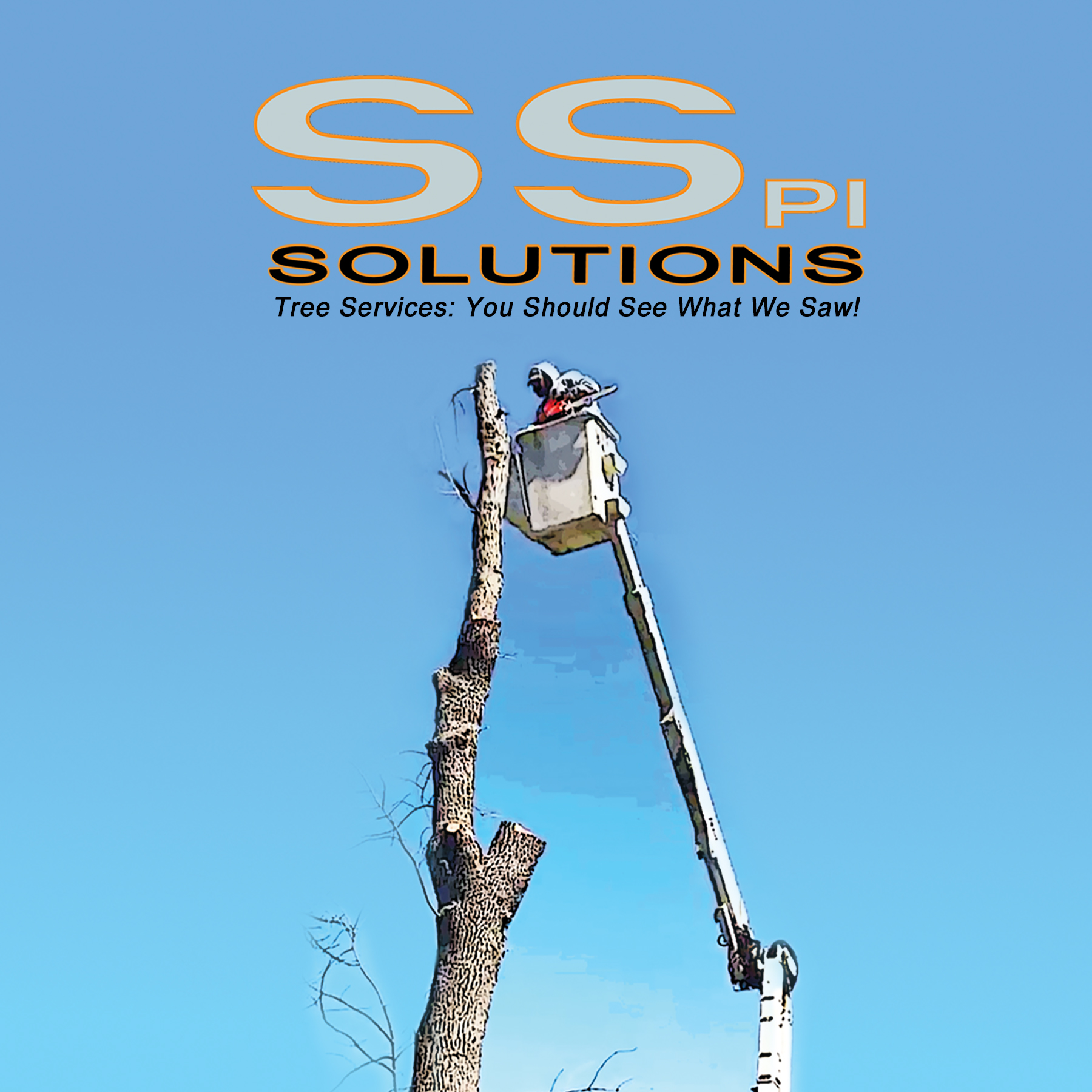 7 Best Tree Services Waterloo IA Tree Removal