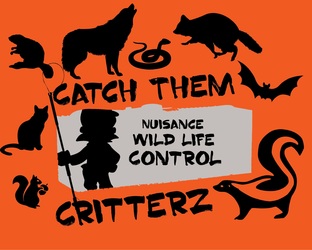 Catch Them Critterz logo