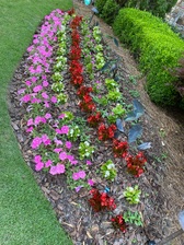 Avatar for LCR Landscape LLC
