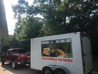 Ale Stump Grinding logo