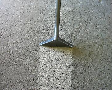 Quality Carpet Cleaning, Inc. logo