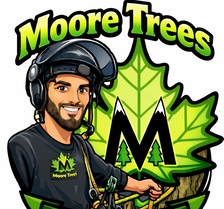 Avatar for Moore Trees