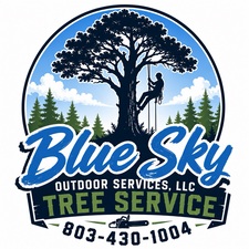 Avatar for Blue Sky Outdoor Services