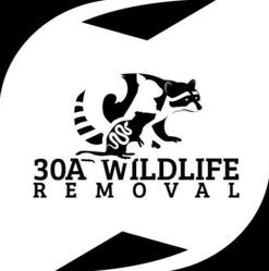 30A Wildlife Removal LLC logo