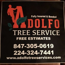 Avatar for Adolfo Tree Service